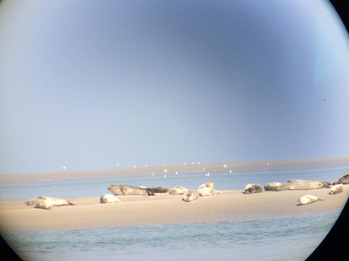 Villa St Laurent Criel-sur-Mer Bagian luar foto